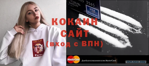 стаф Богданович