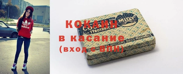 крисы Богородск