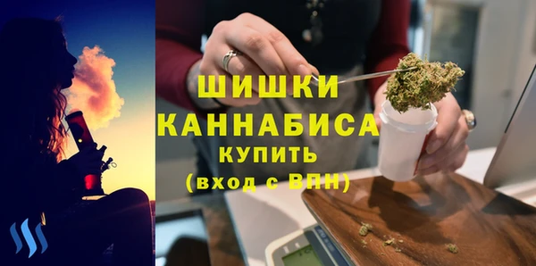 крисы Богородск