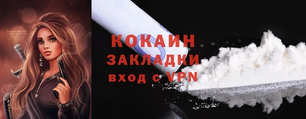 крисы Богородск