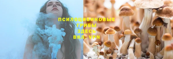 синтетический гашиш Богородицк
