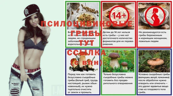 стаф Богданович