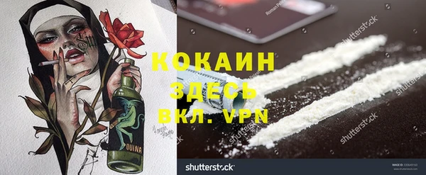 стаф Богданович