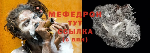стаф Богданович