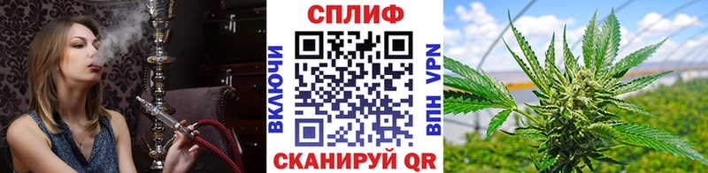 Канабис MAZAR  купить   Гулькевичи 